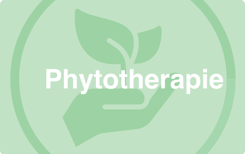 Phytotherapie